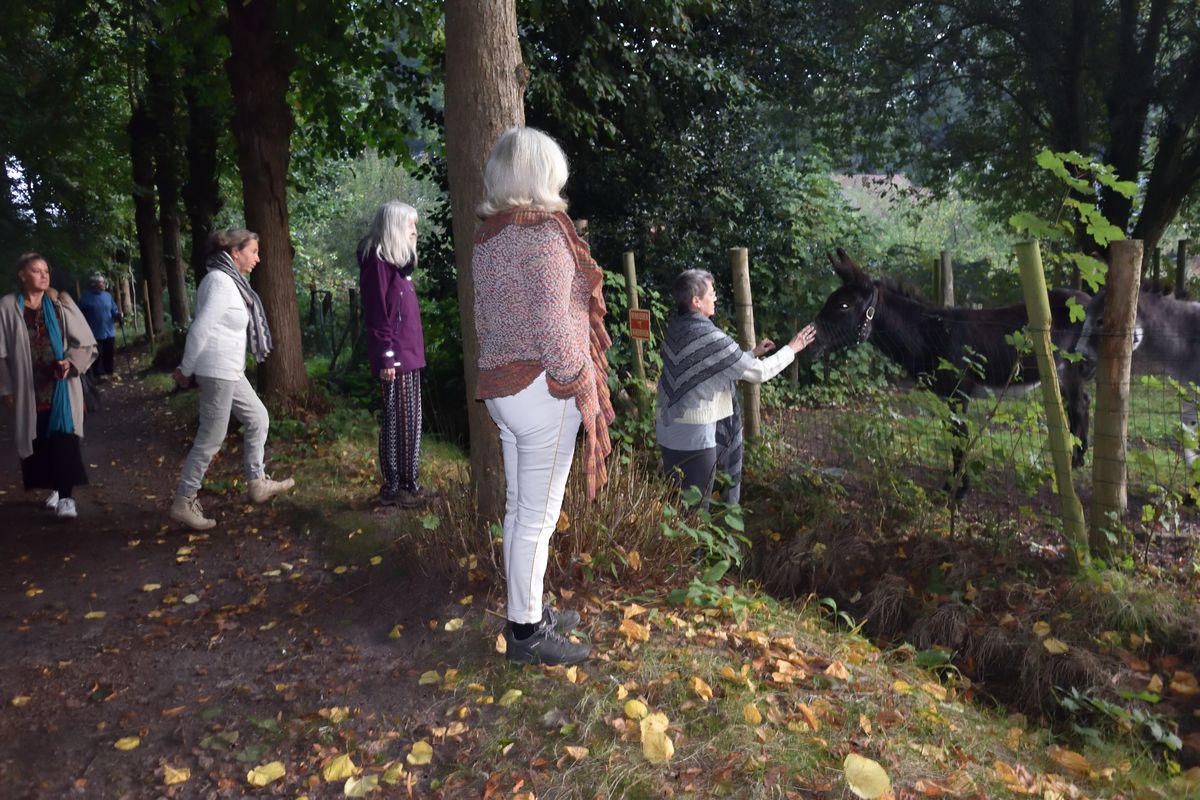During a meditative walk at Domein Menas